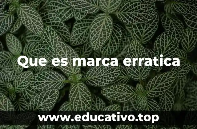 Que es marca erratica