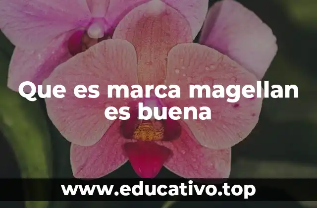Que es marca magellan es buena