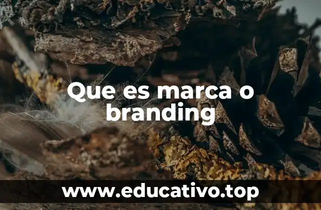 Que es marca o branding