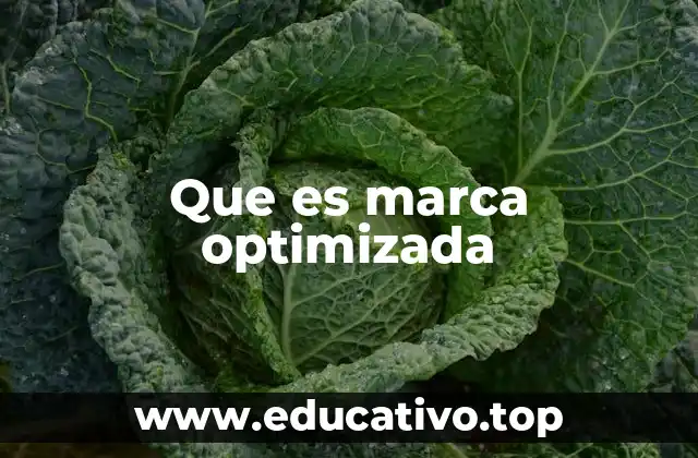 Que es marca optimizada
