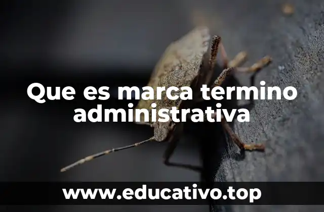 Que es marca termino administrativa