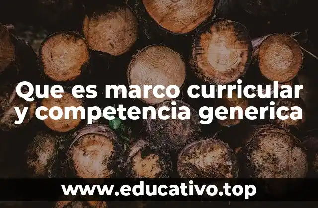 Que es marco curricular y competencia generica
