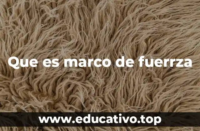 Que es marco de fuerrza