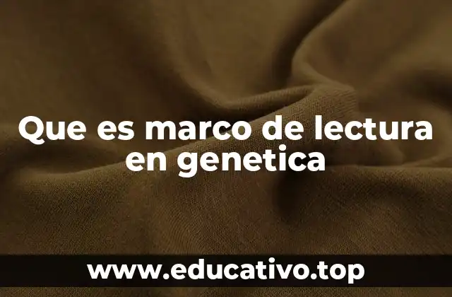 La importancia del marco de lectura en la síntesis proteica