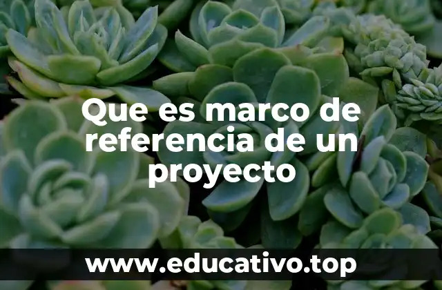 Que es marco de referencia de un proyecto
