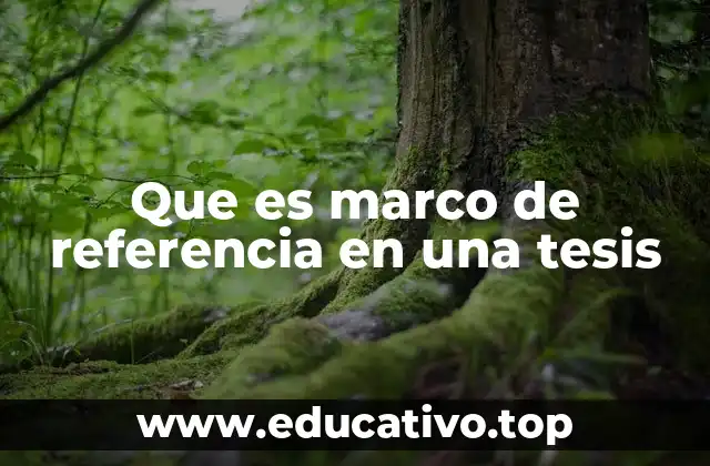 Que es marco de referencia en una tesis