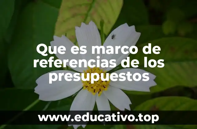 Que es marco de referencias de los presupuestos