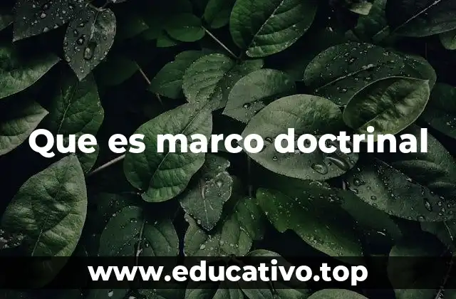 Que es marco doctrinal