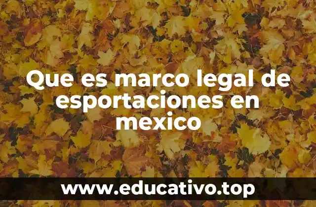 El entorno jurídico que rige las operaciones de exportación