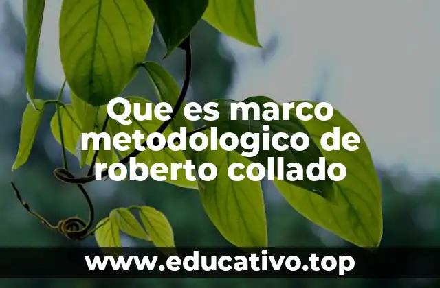 Que es marco metodologico de roberto collado
