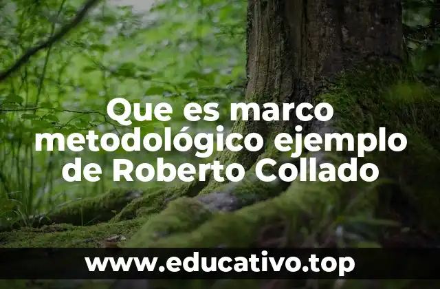 Que es marco metodológico ejemplo de Roberto Collado
