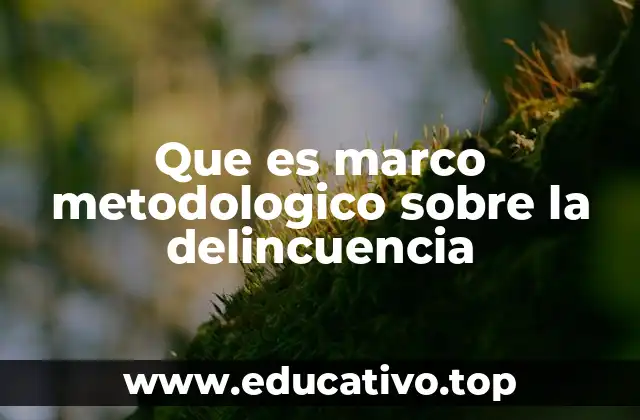 Que es marco metodologico sobre la delincuencia