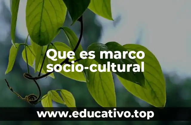 Que es marco socio-cultural