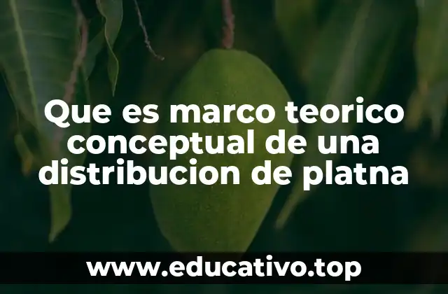 Que es marco teorico conceptual de una distribucion de platna