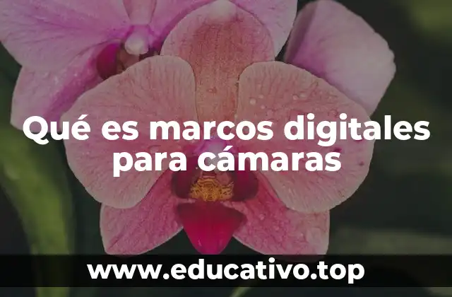Cómo los marcos digitales complementan el uso de cámaras fotográficas