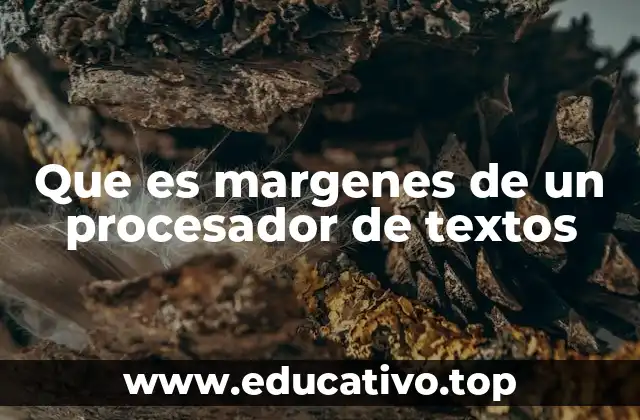 Que es margenes de un procesador de textos