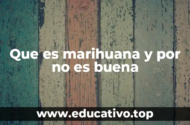 Que es marihuana y por no es buena