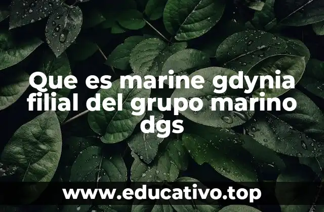 Que es marine gdynia filial del grupo marino dgs