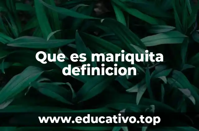 Que es mariquita definicion