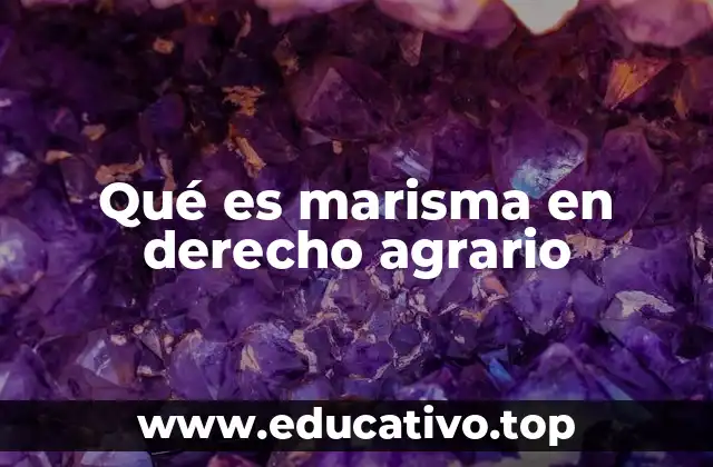 Qué es marisma en derecho agrario