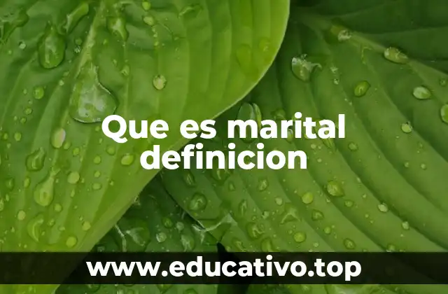 Que es marital definicion