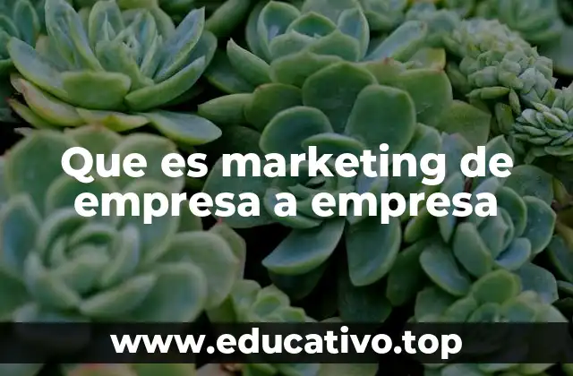 Que es marketing de empresa a empresa