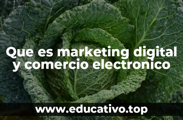 Que es marketing digital y comercio electronico