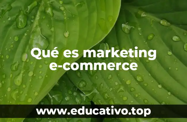 Qué es marketing e-commerce