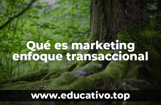 Qué es marketing enfoque transaccional