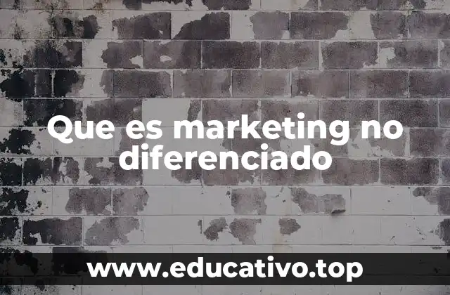 Que es marketing no diferenciado
