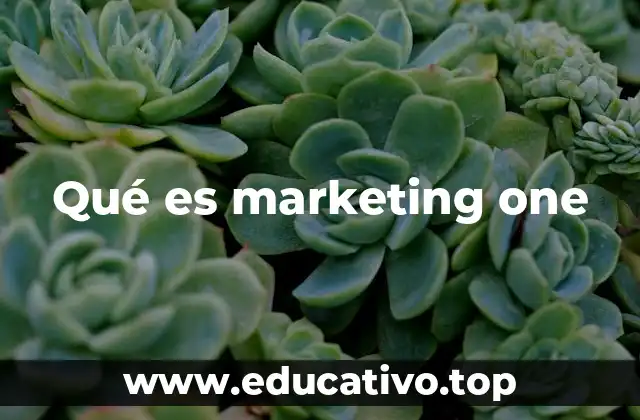 Qué es marketing one
