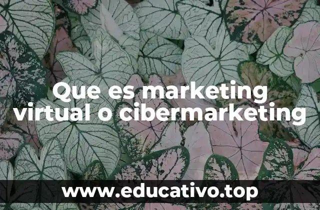 Que es marketing virtual o cibermarketing