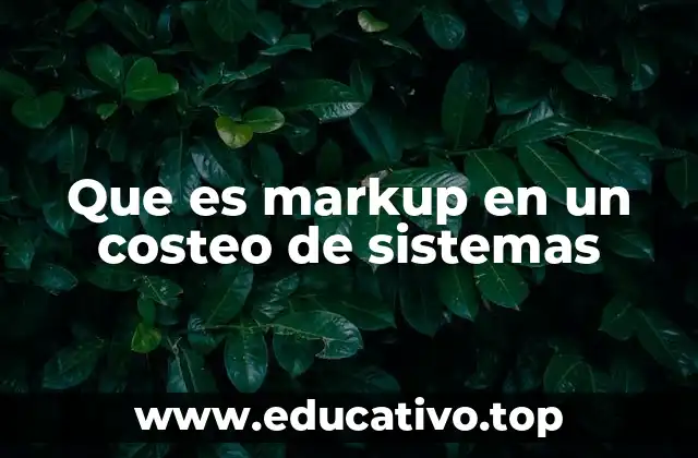 Que es markup en un costeo de sistemas