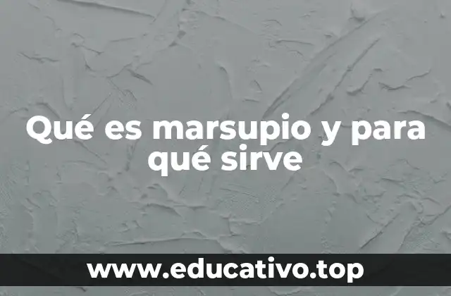 Qué es marsupio y para qué sirve