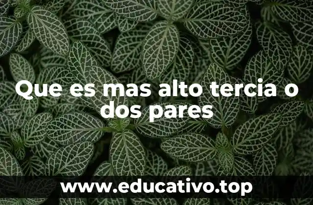 Que es mas alto tercia o dos pares