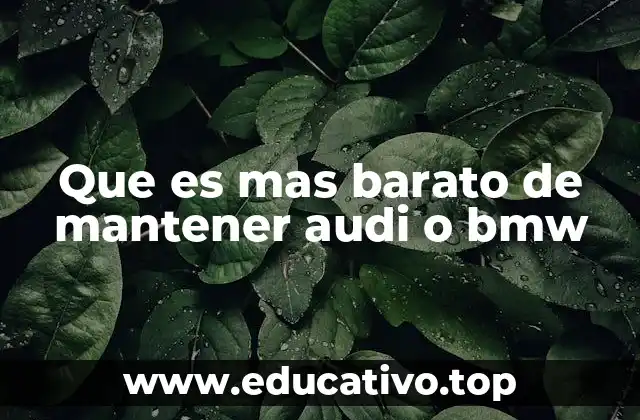 Que es mas barato de mantener audi o bmw