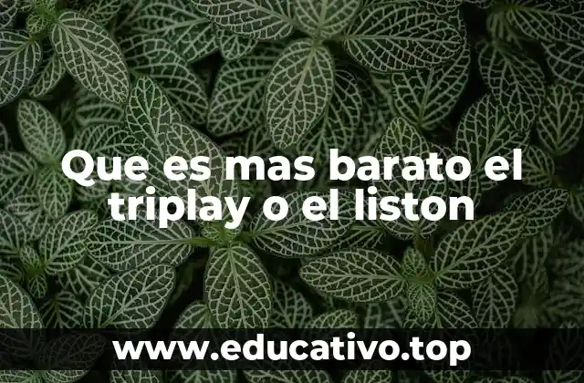 Comparando materiales para proyectos de bajo presupuesto