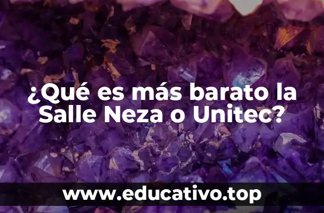 ¿Qué es más barato la Salle Neza o Unitec?