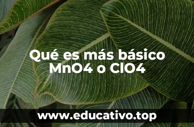 Características estructurales y químicas de los aniones MnO₄⁻ y ClO⁻