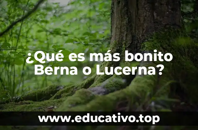 ¿Qué es más bonito Berna o Lucerna?