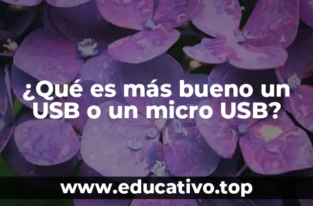 ¿Qué es más bueno un USB o un micro USB?