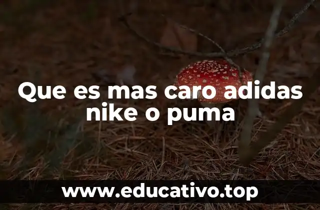 Que es mas caro adidas nike o puma