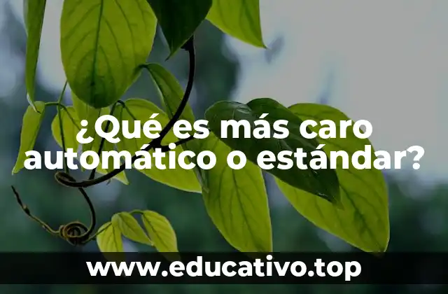 Factores que influyen en el precio de las transmisiones automática y estándar