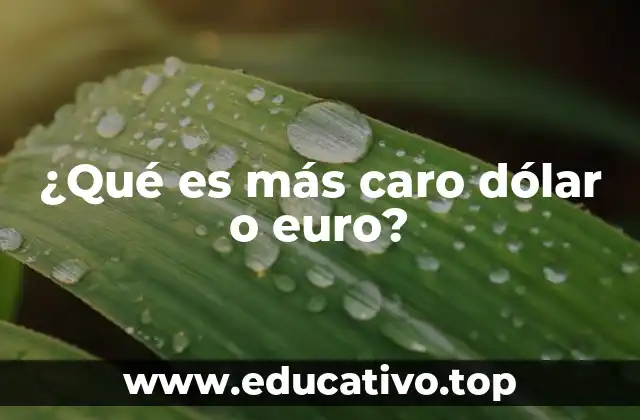 ¿Qué es más caro dólar o euro?