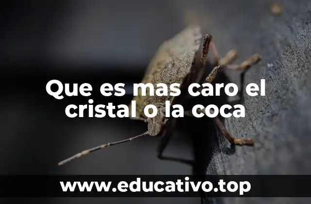 Factores que influyen en el costo de las drogas ilícitas