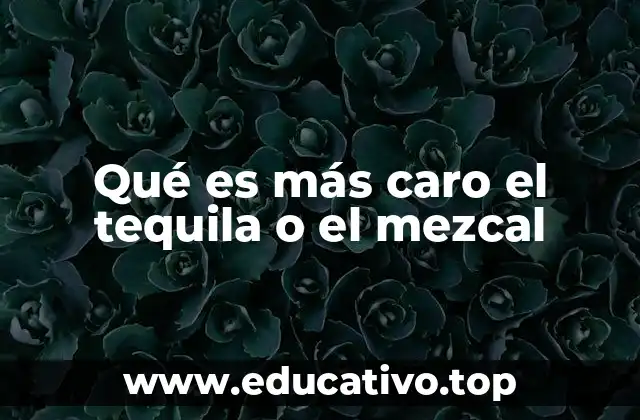 Qué es más caro el tequila o el mezcal