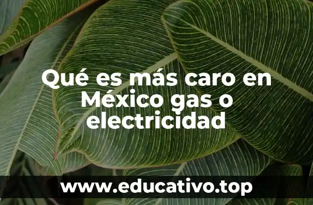 Qué es más caro en México gas o electricidad