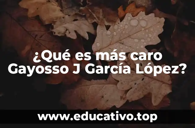 ¿Qué es más caro Gayosso J García López?