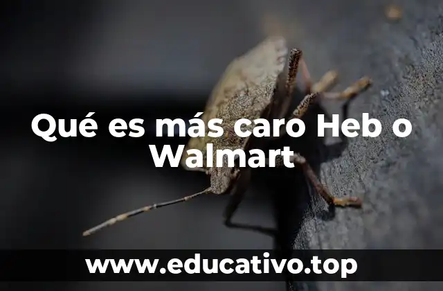 Qué es más caro Heb o Walmart
