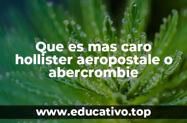 Que es mas caro hollister aeropostale o abercrombie